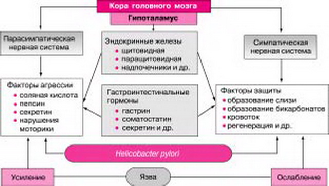 Кислотозависимые заболевания (КЗЗ) – актуальные ответы на актуальные вопросы