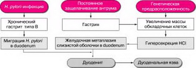 Кислотозависимые заболевания (КЗЗ) – актуальные ответы на актуальные вопросы