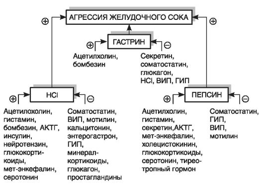 Кислотозависимые заболевания (КЗЗ) – актуальные ответы на актуальные вопросы