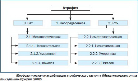 Современная классификация хронического гастрита