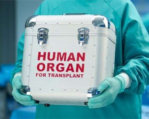 Трансплантация в Украине становится доступной