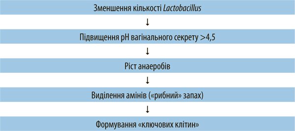 Бактериальный вагиноз: современное состояние проблемы и обзор последних международных гайдлайны