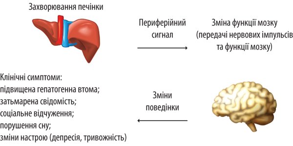 Неалкогольная жировая болезнь печени: новейшие возможности диагностики и лечения