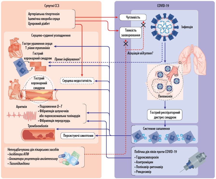 COVID-19: современные возможности предупреждения повреждения життевозначущих органов в условиях пандемии